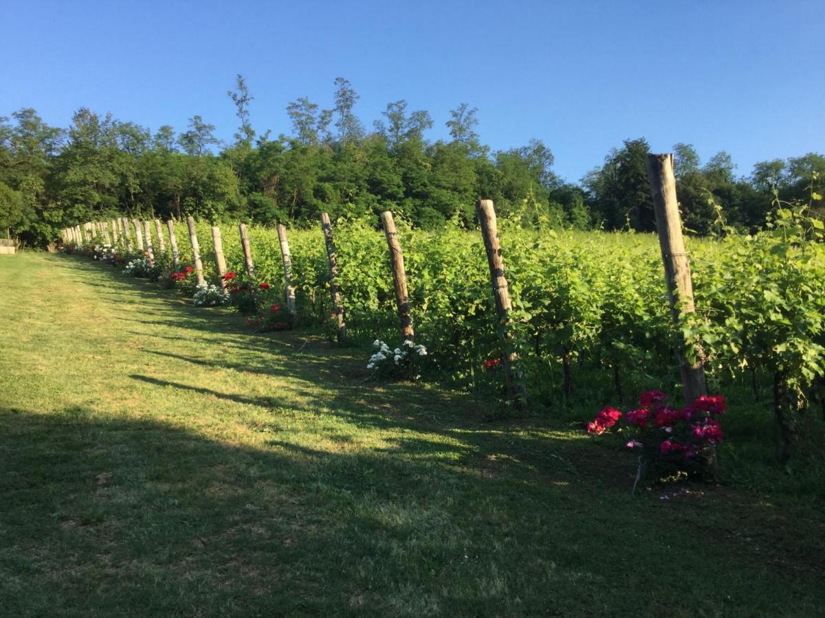 Agriturismo Terre Bianche Teolo Εξωτερικό φωτογραφία