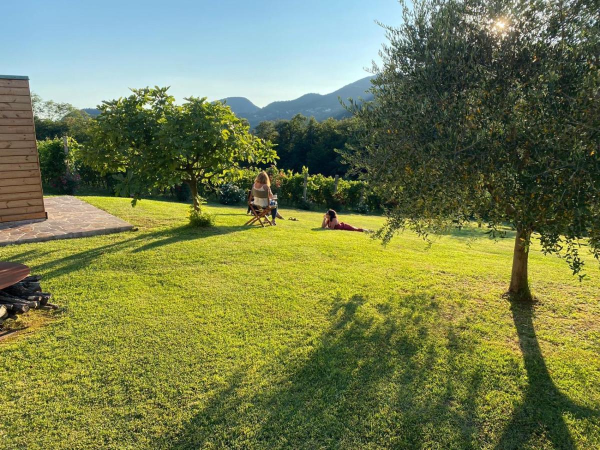 Agriturismo Terre Bianche Teolo Εξωτερικό φωτογραφία