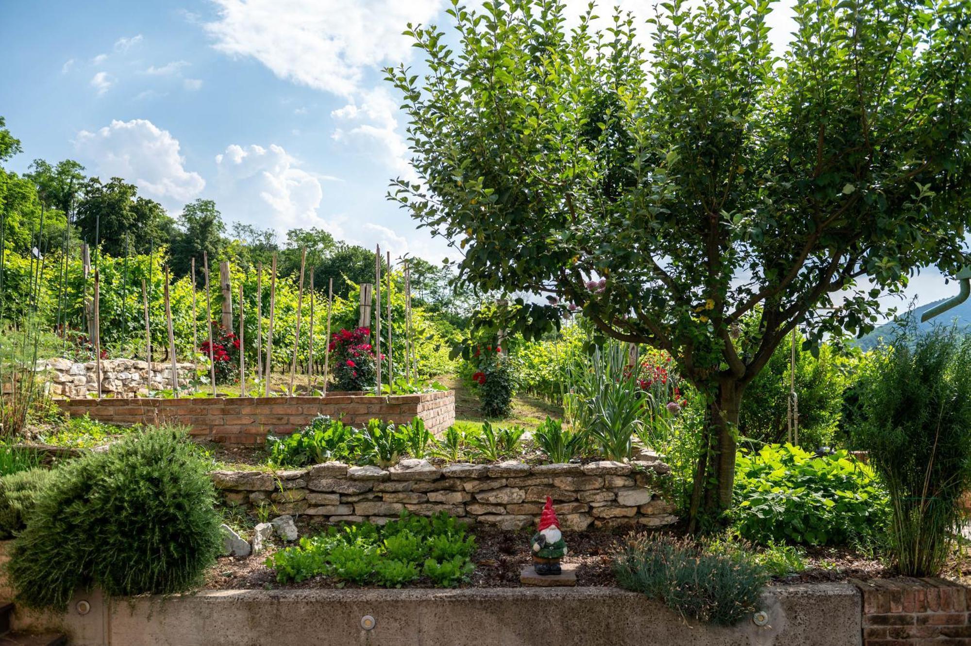 Agriturismo Terre Bianche Teolo Εξωτερικό φωτογραφία