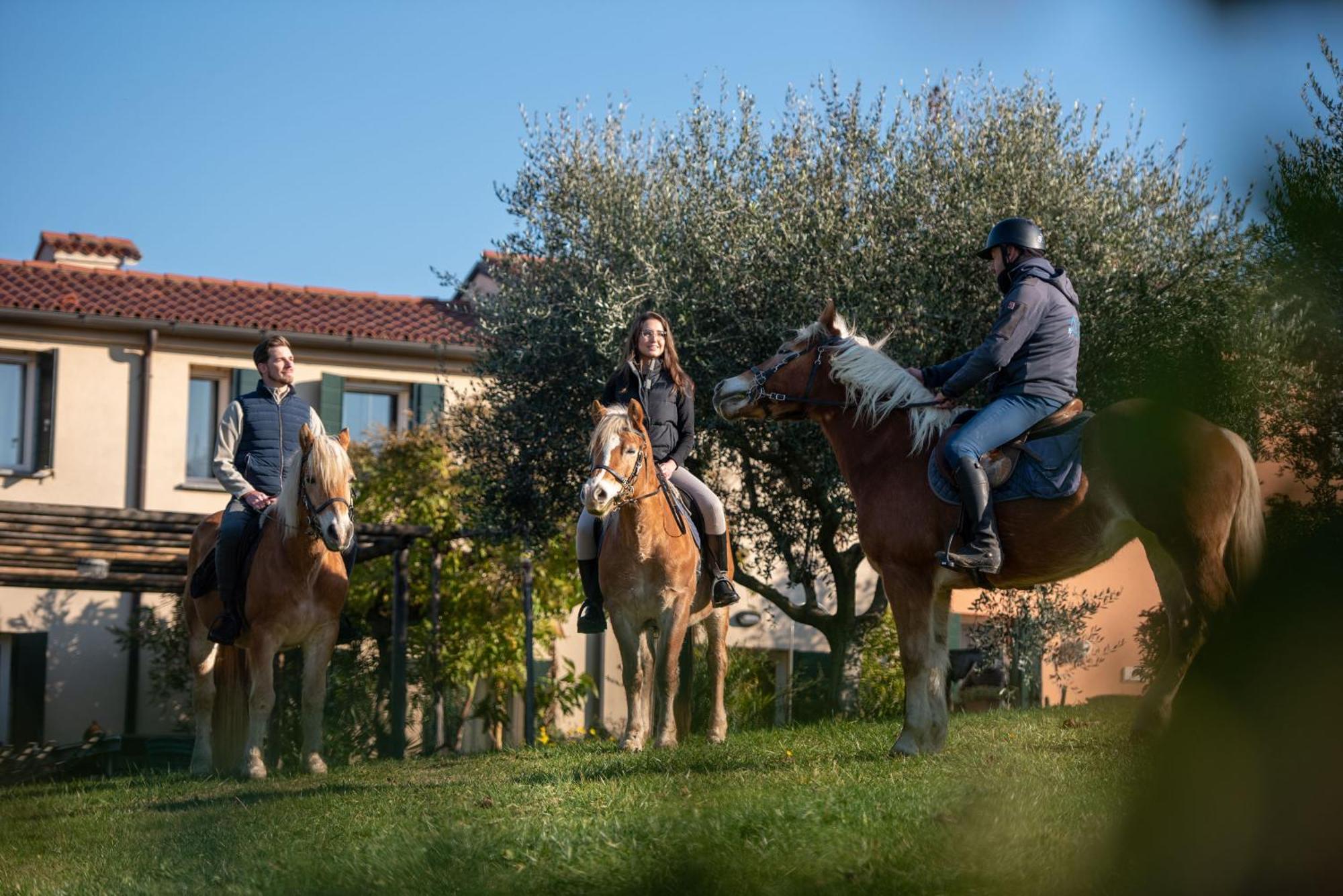 Agriturismo Terre Bianche Teolo Εξωτερικό φωτογραφία